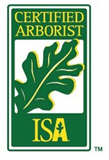 about isa icon