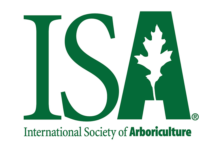 about isa icon